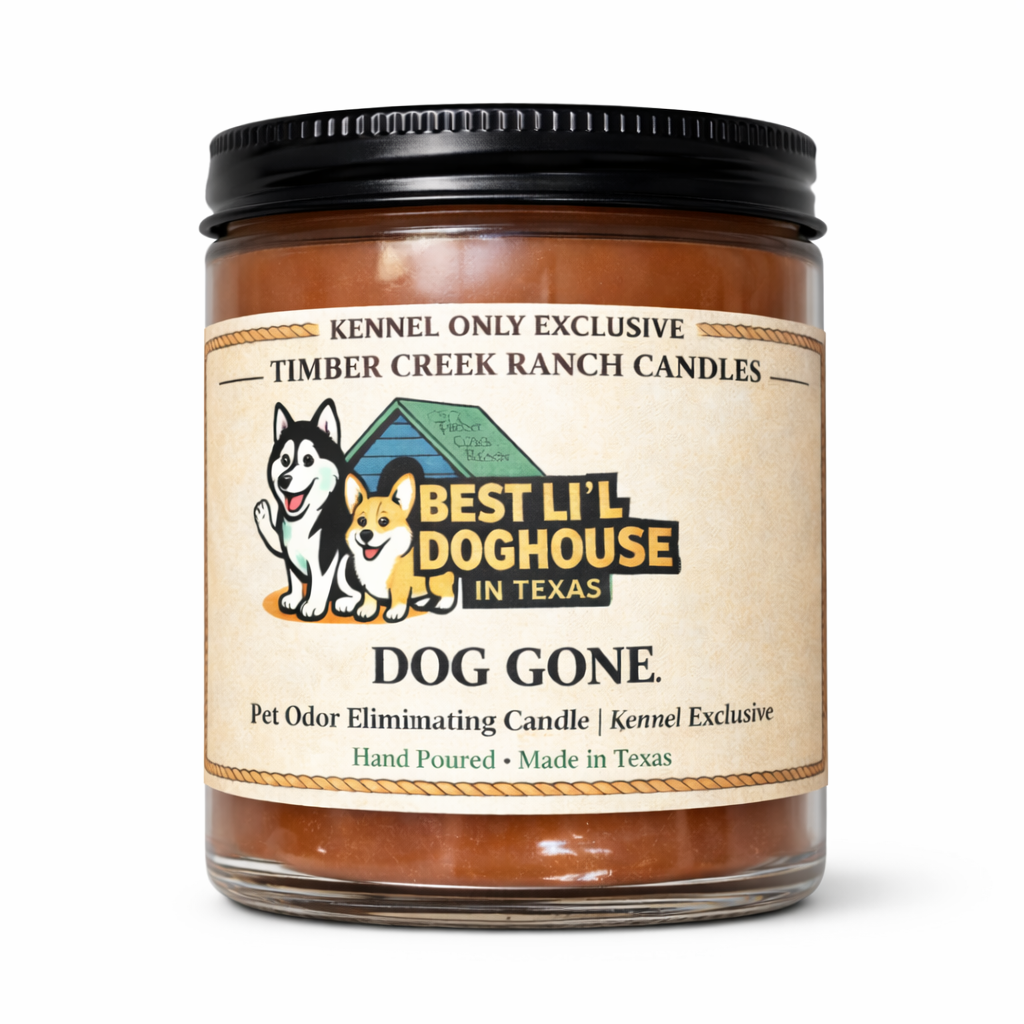 Dog Gone Pet Odor Eliminating Glass Candle, 8 oz Wood Wick
