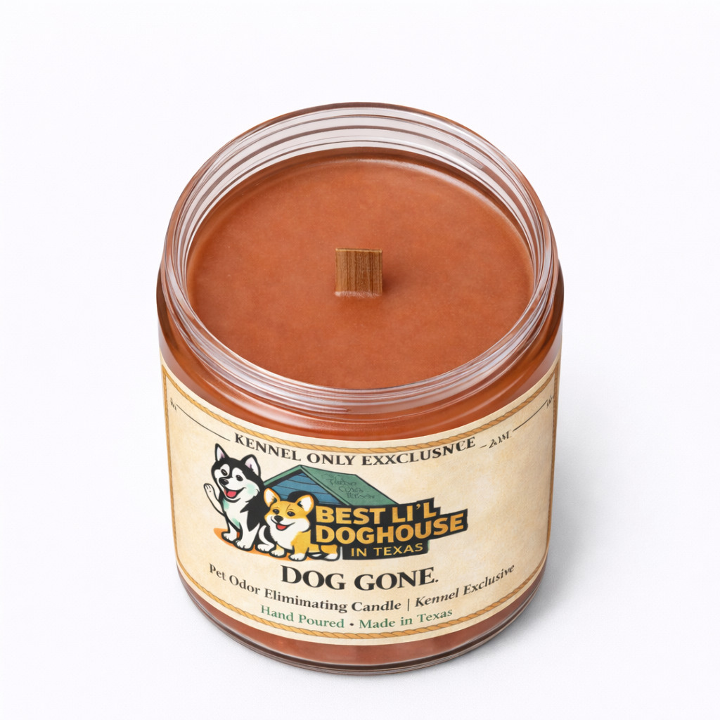 Dog Gone Pet Odor Eliminating Glass Candle, 8 oz Wood Wick