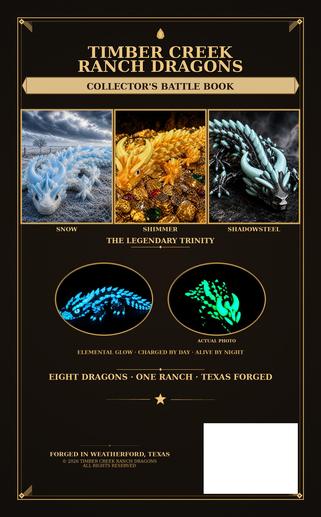 Official Field and Flame Dragon Battle Guide