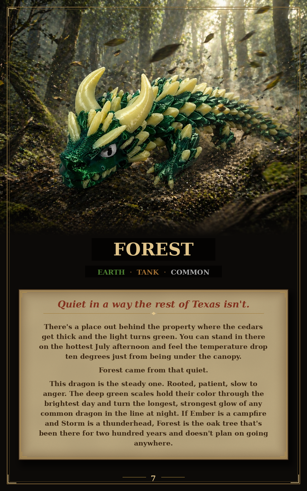 Official Field and Flame Dragon Battle Guide